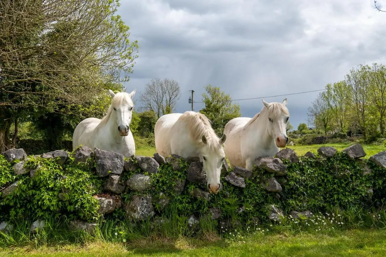 Appartamento Luxury Apartment, Bed And Breakfast Galway