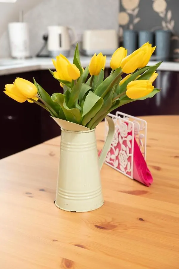 Appartamento Luxury Apartment, Bed And Breakfast Galway