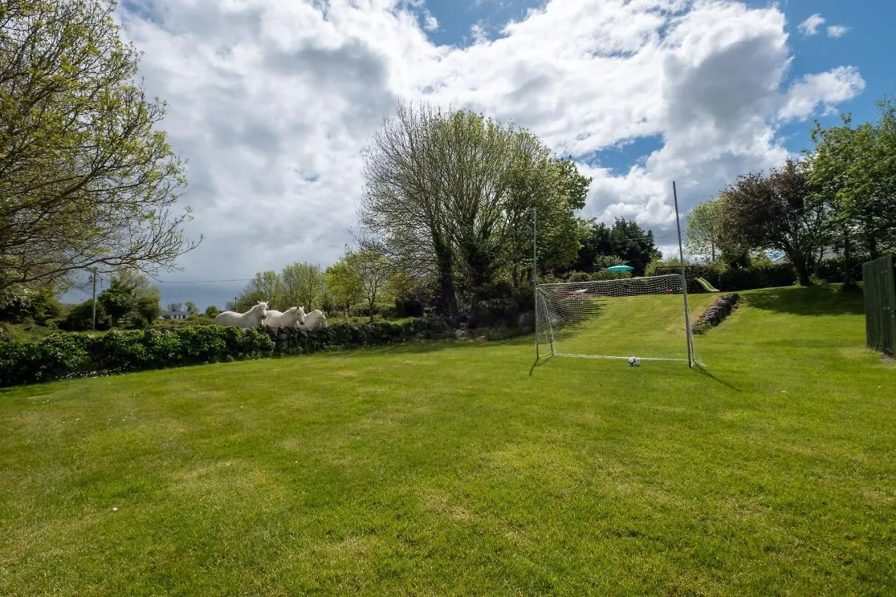 Luxury Apartment, Bed And Breakfast Galway Apartment